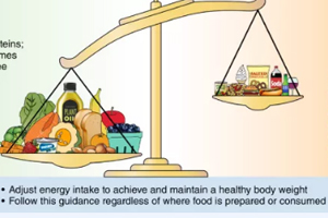 该共识重点强调了个人饮食模式的重要性，远远大于单个营养素的作用。